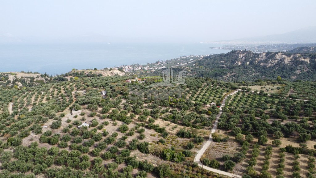 Αγροτεμάχια 3.400 τ.μ. προς πώληση, Τσουκαλαίικα Βραχναιίκων