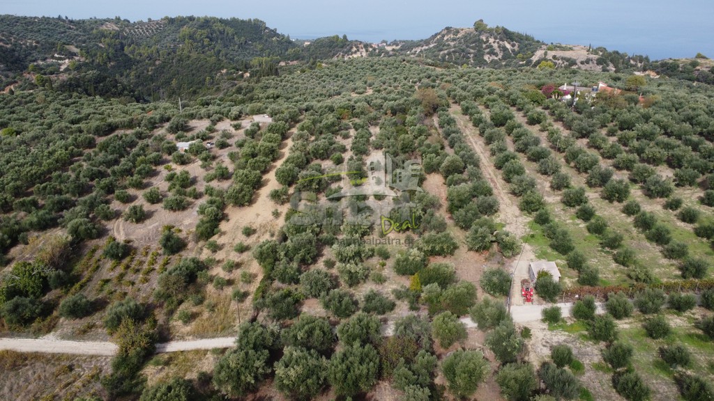 Αγροτεμάχια 3.400 τ.μ. προς πώληση, Τσουκαλαίικα Βραχναιίκων