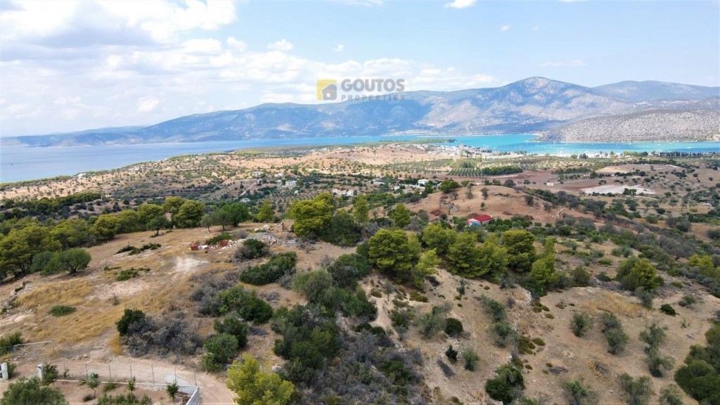 Οικόπεδο 4.000 τ.μ. προς πώληση, Δορούφι