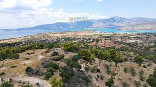 Οικόπεδο 4.000 τ.μ. για πώληση, Αργολίδα, Κρανίδι-thumb-2