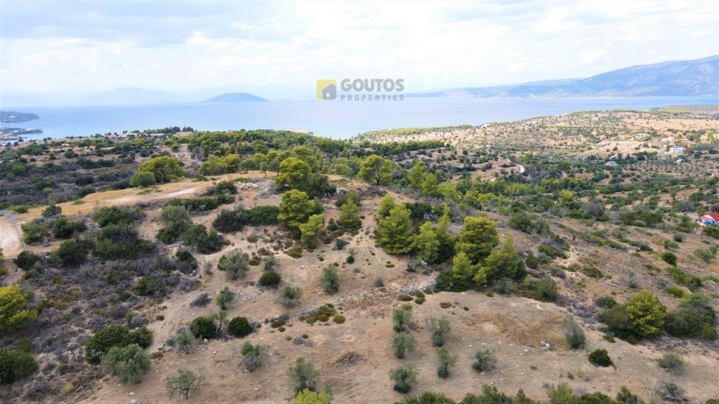 Οικόπεδο 4.000 τ.μ. προς πώληση, Δορούφι