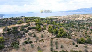 Οικόπεδο 4.000 τ.μ. για πώληση, Αργολίδα, Κρανίδι-thumb-4
