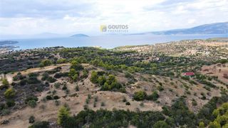 Οικόπεδο 4.000 τ.μ. για πώληση, Αργολίδα, Κρανίδι-thumb-5