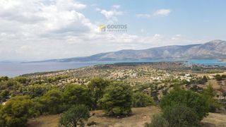 Οικόπεδο 4.000 τ.μ. για πώληση, Αργολίδα, Κρανίδι-thumb-18