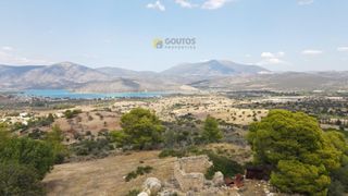 Οικόπεδο 4.000 τ.μ. για πώληση, Αργολίδα, Κρανίδι-thumb-22