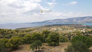 Οικόπεδο 4.000 τ.μ. για πώληση, Αργολίδα, Κρανίδι-thumb-20