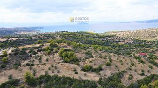 Οικόπεδο 4.000 τ.μ. για πώληση, Αργολίδα, Κρανίδι-thumb-6