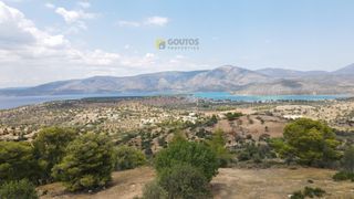 Οικόπεδο 4.000 τ.μ. για πώληση, Αργολίδα, Κρανίδι-thumb-16