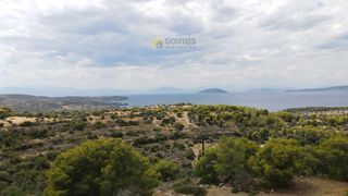 Οικόπεδο 4.000 τ.μ. για πώληση, Αργολίδα, Κρανίδι-thumb-19