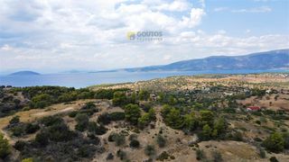 Οικόπεδο 4.000 τ.μ. για πώληση, Αργολίδα, Κρανίδι-thumb-3