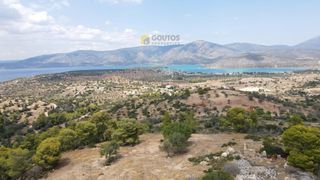 Οικόπεδο 4.000 τ.μ. για πώληση, Αργολίδα, Κρανίδι-thumb-15