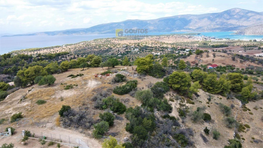 Οικόπεδο 4.000 τ.μ. προς πώληση, Δορούφι