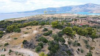Οικόπεδο 4.000 τ.μ. για πώληση, Αργολίδα, Κρανίδι-thumb-1