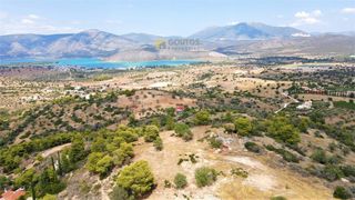 Οικόπεδο 4.000 τ.μ. για πώληση, Αργολίδα, Κρανίδι-thumb-13