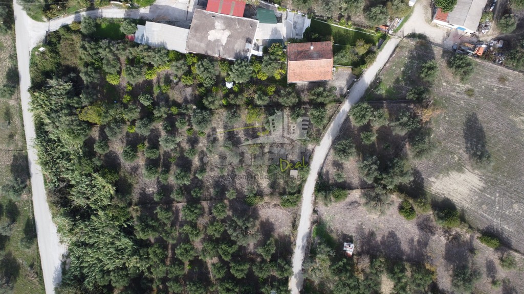 Οικόπεδο 2.300 τ.μ. προς πώληση, Παυλόκαστρο
