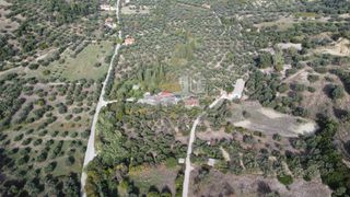 Οικόπεδο 2.300 τ.μ. προς πώληση, Παυλόκαστρο-thumb-8