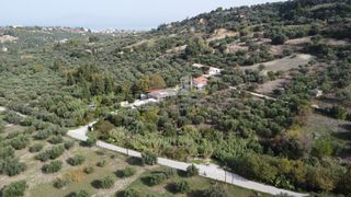 Οικόπεδο 2.300 τ.μ. προς πώληση, Παυλόκαστρο-thumb-2