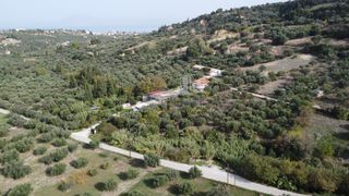Οικόπεδο 2.300 τ.μ. προς πώληση, Παυλόκαστρο-thumb-11
