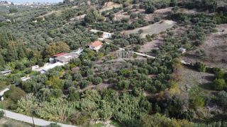 Οικόπεδο 2.300 τ.μ. προς πώληση, Παυλόκαστρο-thumb-18