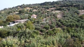 Οικόπεδο 2.300 τ.μ. προς πώληση, Παυλόκαστρο-thumb-22
