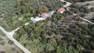 Οικόπεδο 2.300 τ.μ. προς πώληση, Παυλόκαστρο-thumb-17