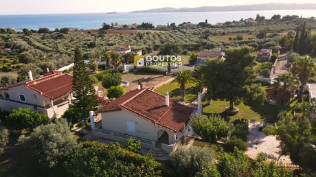 Μονοκατοικία 225τ.μ. για πώληση-Κρανίδι
