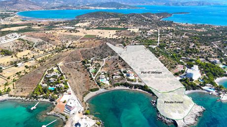 Αγροτεμάχια 47.200τ.μ. για πώληση-Κρανίδι