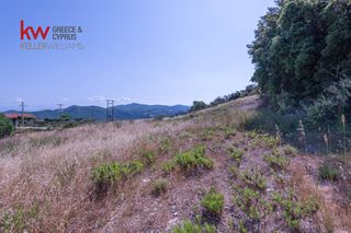 Οικόπεδο 2.000 τ.μ. για πώληση, Αχαΐα, Ρίο-thumb-1