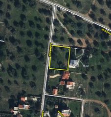Οικόπεδο 1.000 τ.μ. προς πώληση, Μαλακώντα-thumb-2