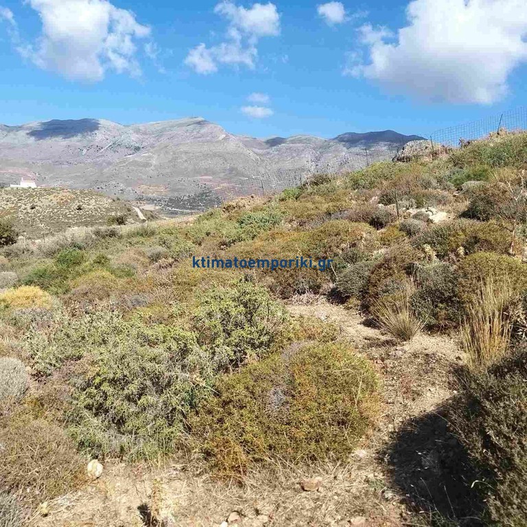 Οικόπεδο 5.824 τ.μ. πρός πώληση, Ν. Ρεθύμνου, Φοινίκας