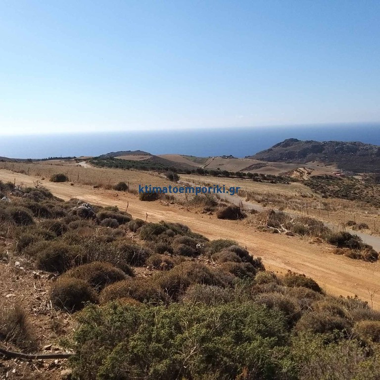 Οικόπεδο 5.824 τ.μ. πρός πώληση, Ν. Ρεθύμνου, Φοινίκας