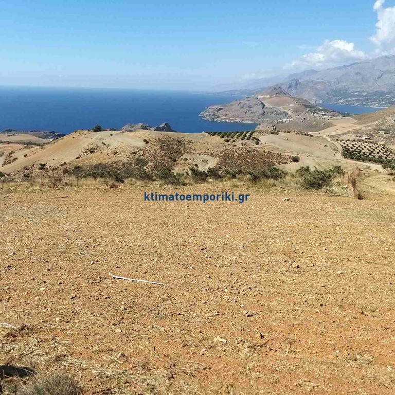 Οικόπεδο 5.824 τ.μ. πρός πώληση, Ν. Ρεθύμνου, Φοινίκας