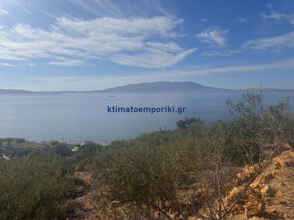 Οικόπεδο 2.450 τ.μ. προς πώληση, Ραβδούχα