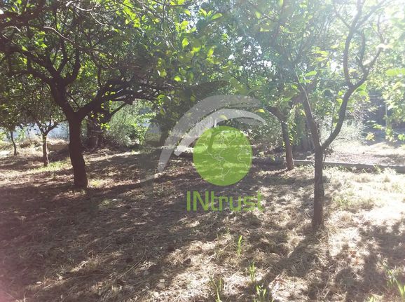 Οικόπεδο 1.000 τ.μ. για πώληση, Αχαΐα, Διακοπτό