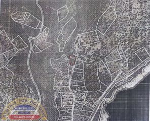Αγροτεμάχια 1.600 τ.μ. προς πώληση, Αλυκή Θάσου-thumb-3