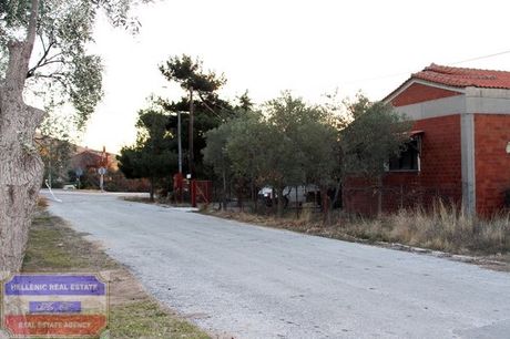Βιομηχανικός χώρος 480τ.μ. για πώληση-Θάσος