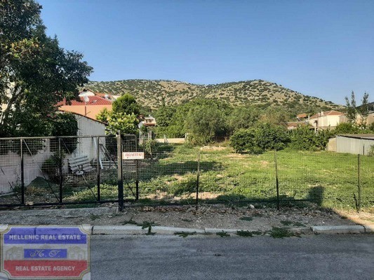 Οικόπεδο 744 τ.μ. προς πώληση, Κρηνίδες