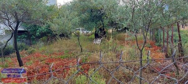 Οικόπεδο 214 τ.μ. προς πώληση, Σκάλα Καλλιράχης