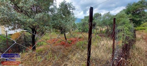 Οικόπεδο 214 τ.μ. προς πώληση, Σκάλα Καλλιράχης