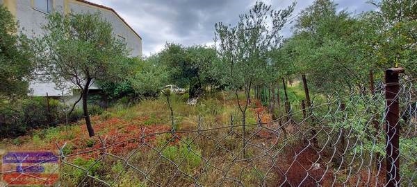 Οικόπεδο 214 τ.μ. προς πώληση, Σκάλα Καλλιράχης