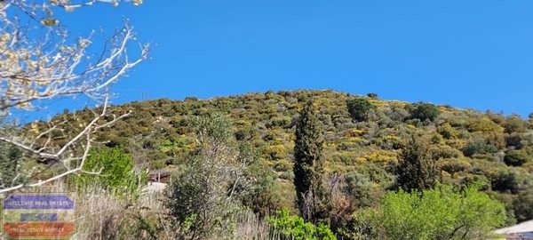 Αγροτεμάχια 4.011 τ.μ. προς πώληση, Παληό