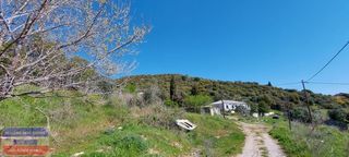 Αγροτεμάχια 4.011 τ.μ. προς πώληση, Παληό-thumb-10