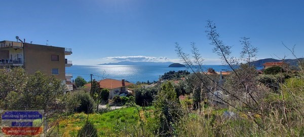 Αγροτεμάχια 4.011 τ.μ. προς πώληση, Παληό