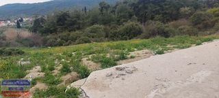 Αγροτεμάχια 1.063 τ.μ. για πώληση, Ν. Καβάλας, Ελευθερές-thumb-5