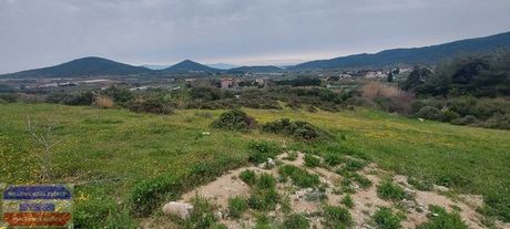 Αγροτεμάχια 1.063τ.μ. για πώληση-Ελευθερές