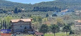 Αγροτεμάχια 1.063 τ.μ. για πώληση, Ν. Καβάλας, Ελευθερές-thumb-7