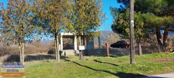 Μονοκατοικία 150 τ.μ. προς πώληση, Δάτο