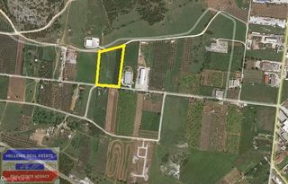 Αγροτεμάχια 9.300 τ.μ. προς πώληση, Χαλκερό-thumb-1