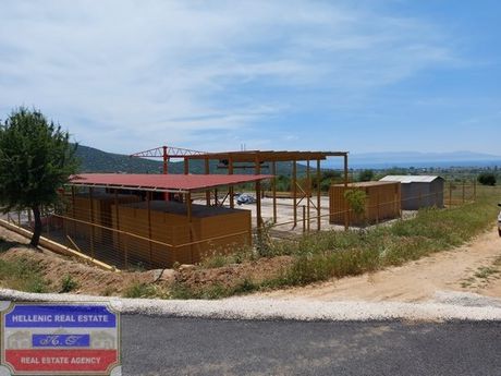 Αγροτεμάχια 6.175τ.μ. για πώληση-Καβάλα