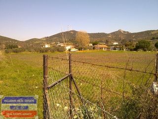 Αγροτεμάχια 4.400 τ.μ. για πώληση, Ν. Καβάλας, Ελευθερές-thumb-16